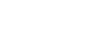 BlueSnap